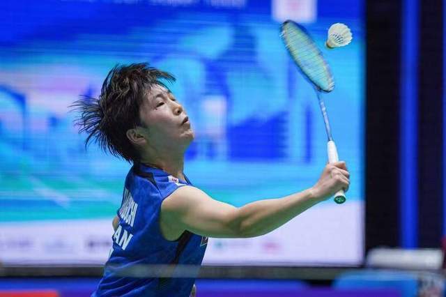 中的专业性 中的专业性