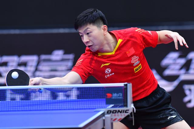 的重要拼图 的重要拼图